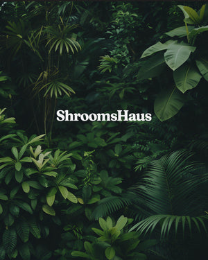 ShroomsHaus